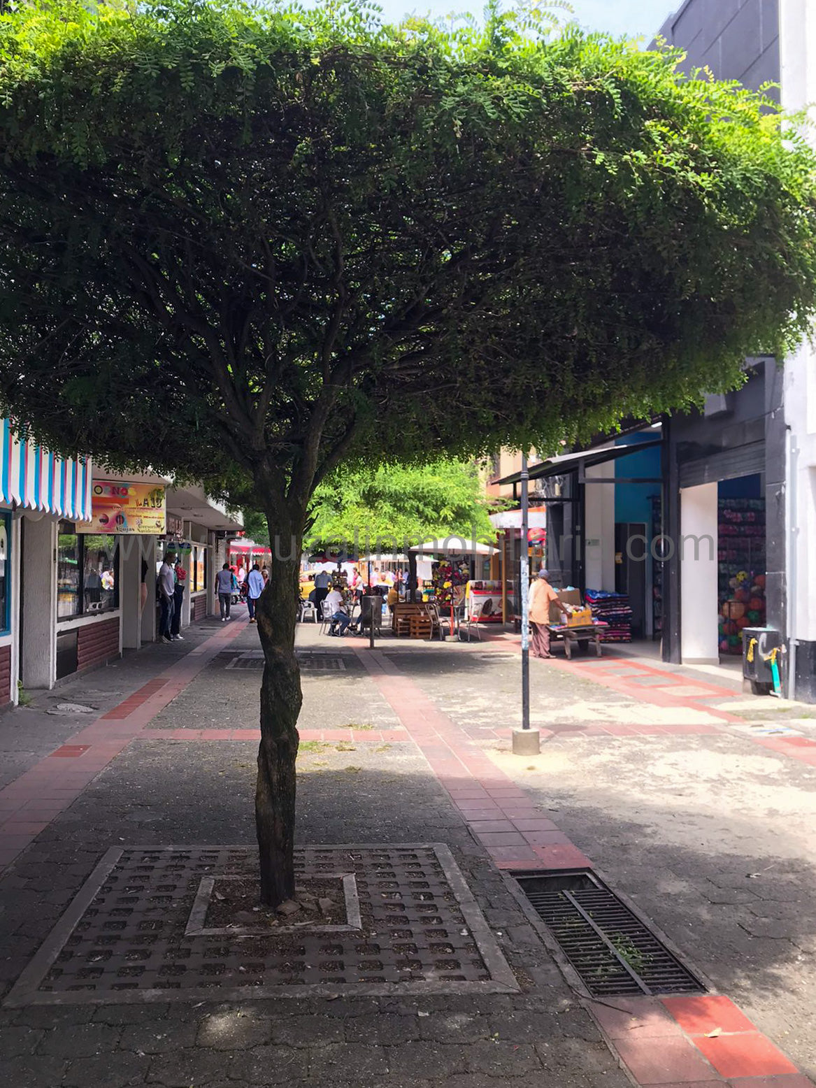 Encantadora Casa en Calle Peatonal - Uso Comercial