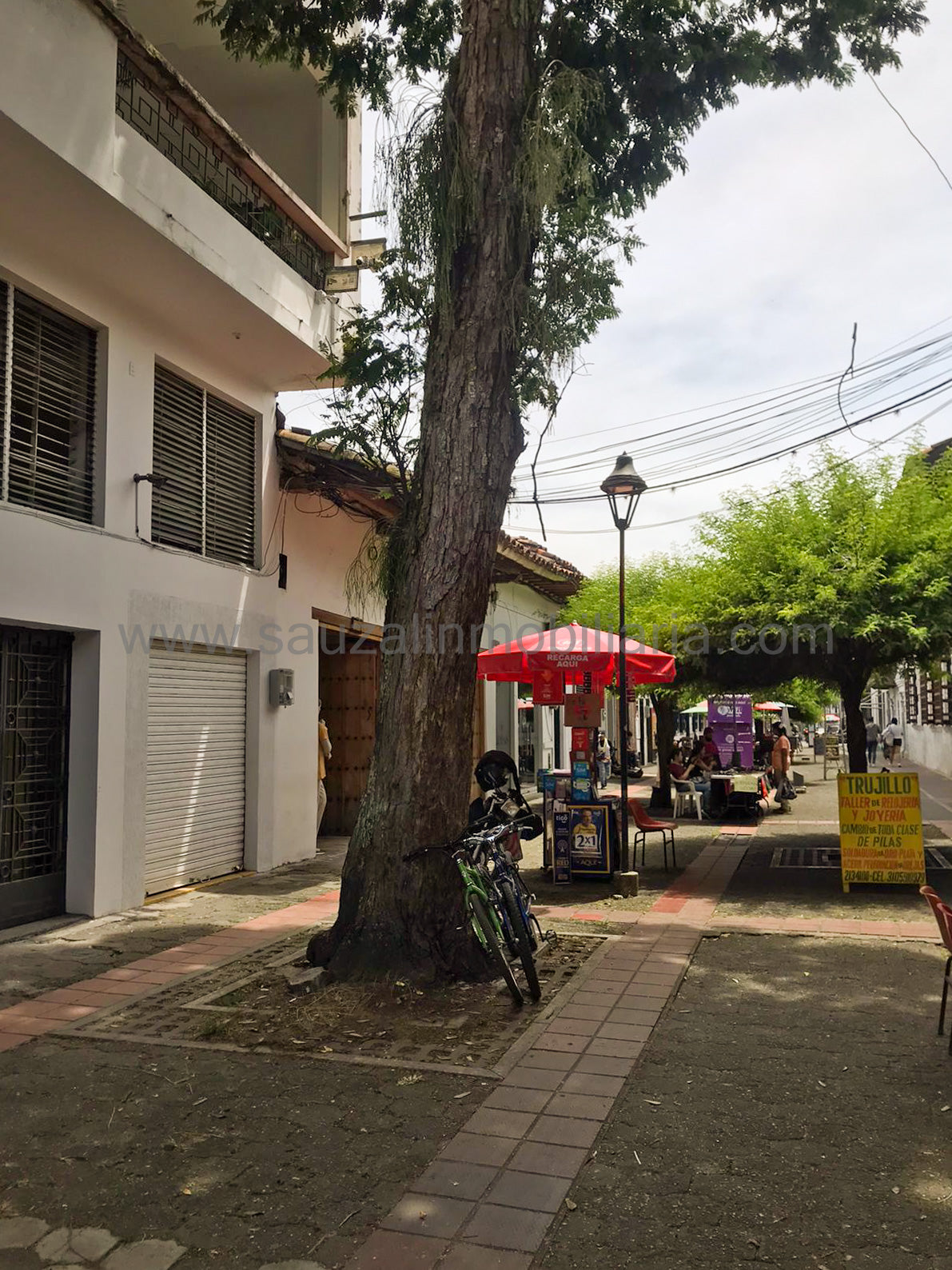 Encantadora Casa en Calle Peatonal - Uso Comercial