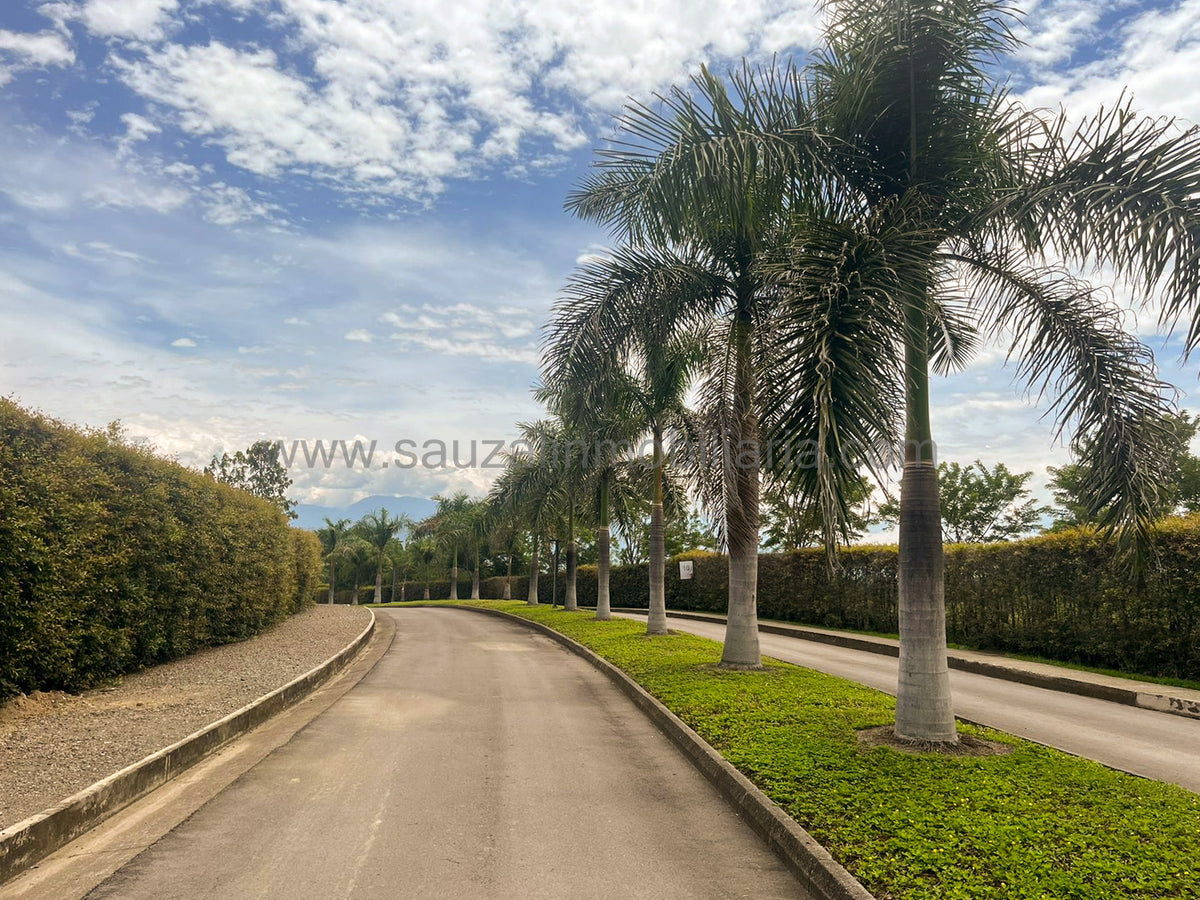 Lotes en la Trinidad Condominio Campestre