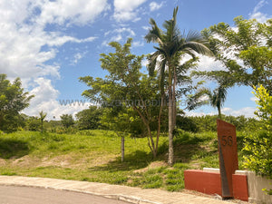 Lotes en la Trinidad Condominio Campestre