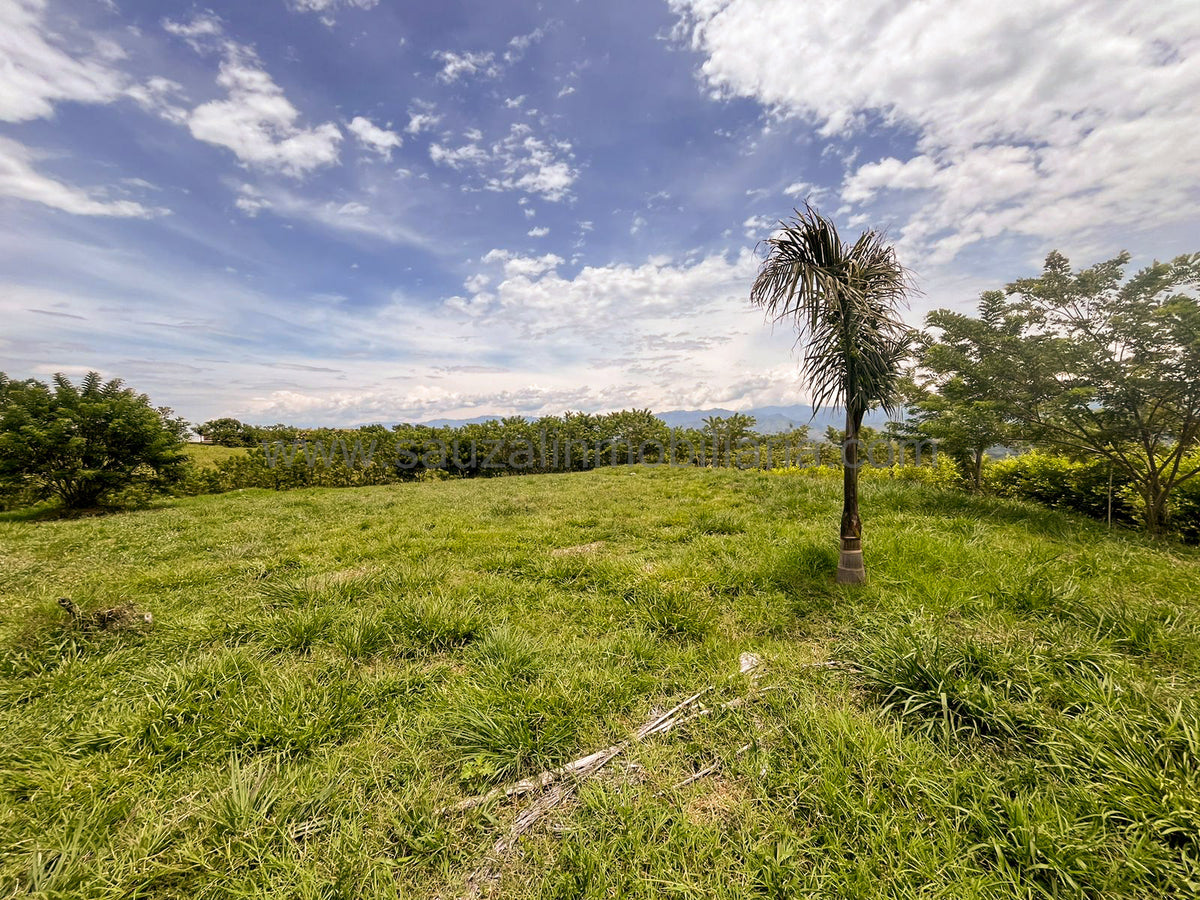 Lotes en la Trinidad Condominio Campestre