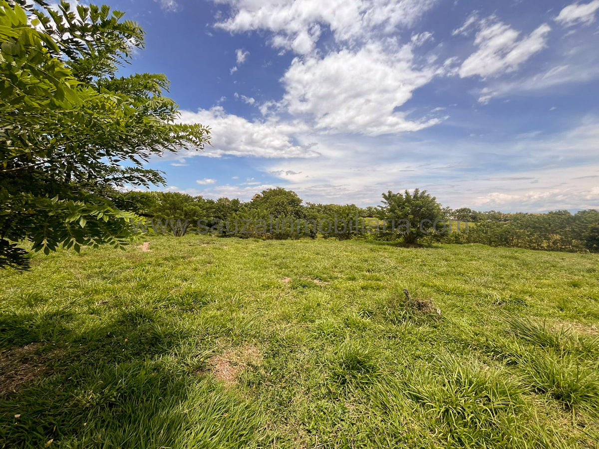 Lotes en la Trinidad Condominio Campestre