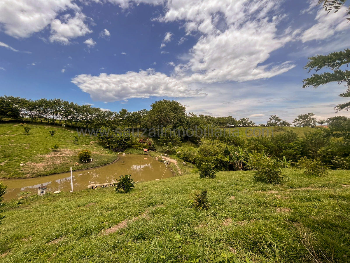 Lotes en la Trinidad Condominio Campestre