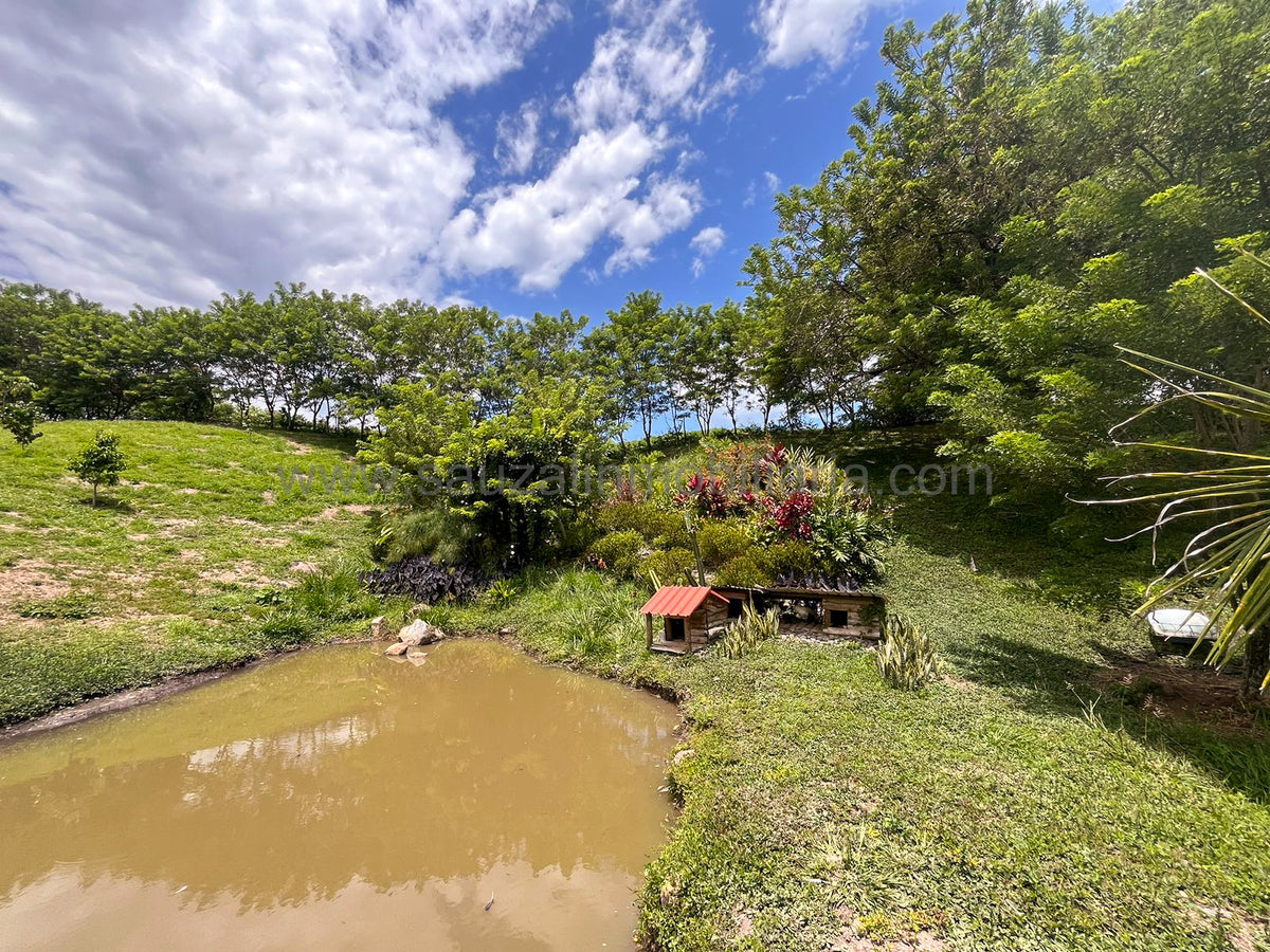 Lotes en la Trinidad Condominio Campestre