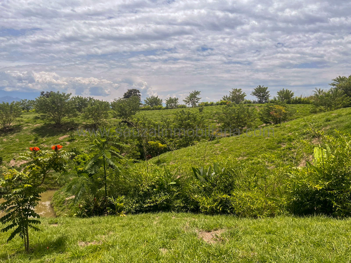 Lotes en la Trinidad Condominio Campestre