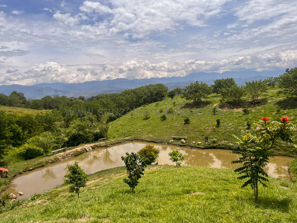 Lotes en la Trinidad Condominio Campestre