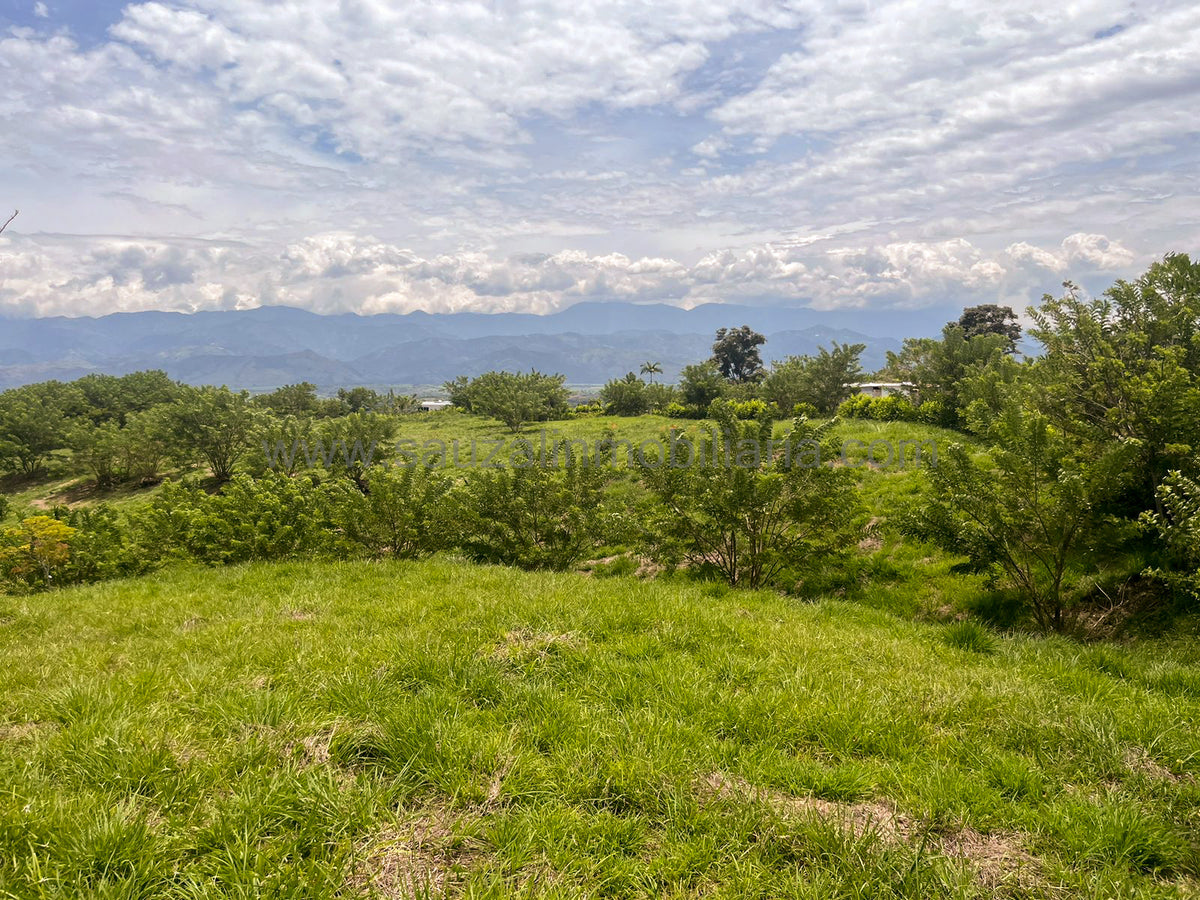 Lotes en la Trinidad Condominio Campestre