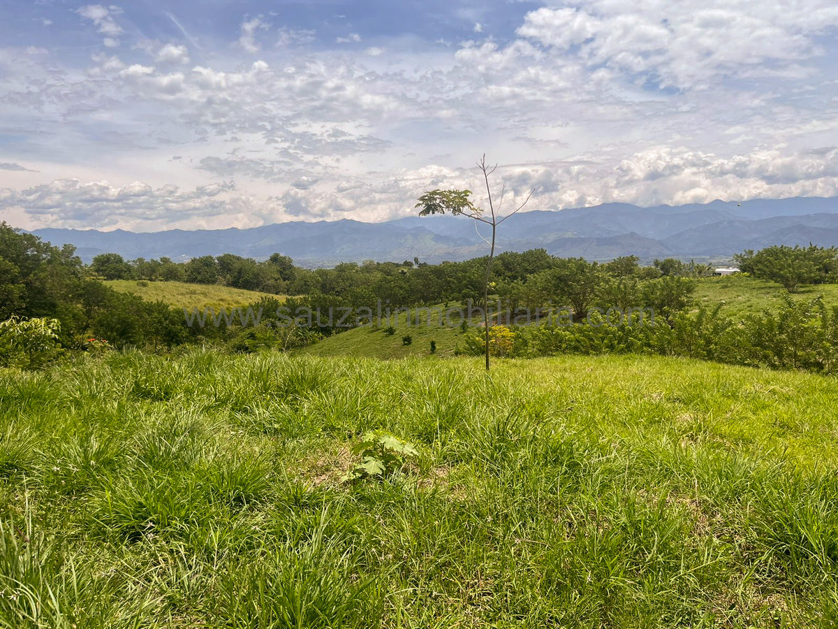 Lotes en la Trinidad Condominio Campestre