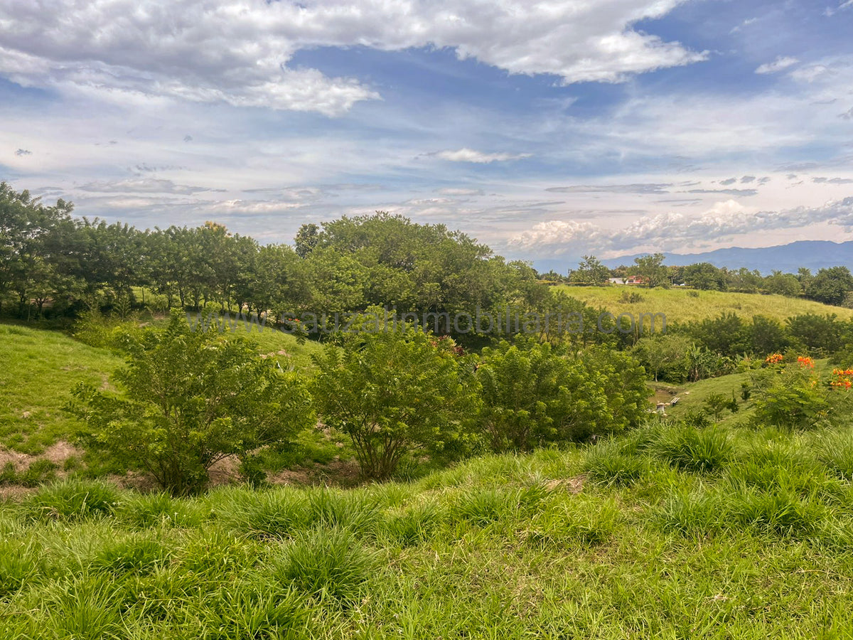 Lotes en la Trinidad Condominio Campestre