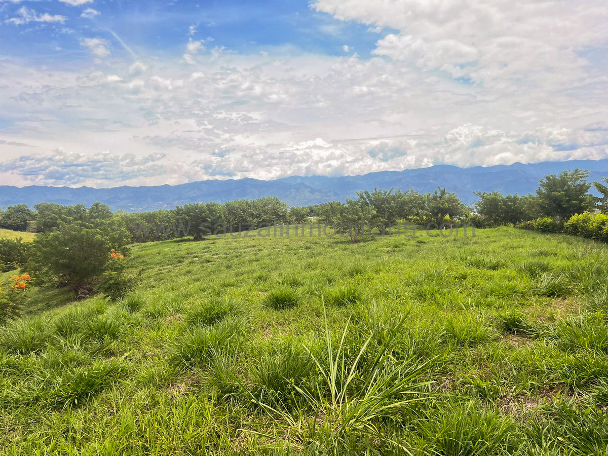 Lotes en la Trinidad Condominio Campestre