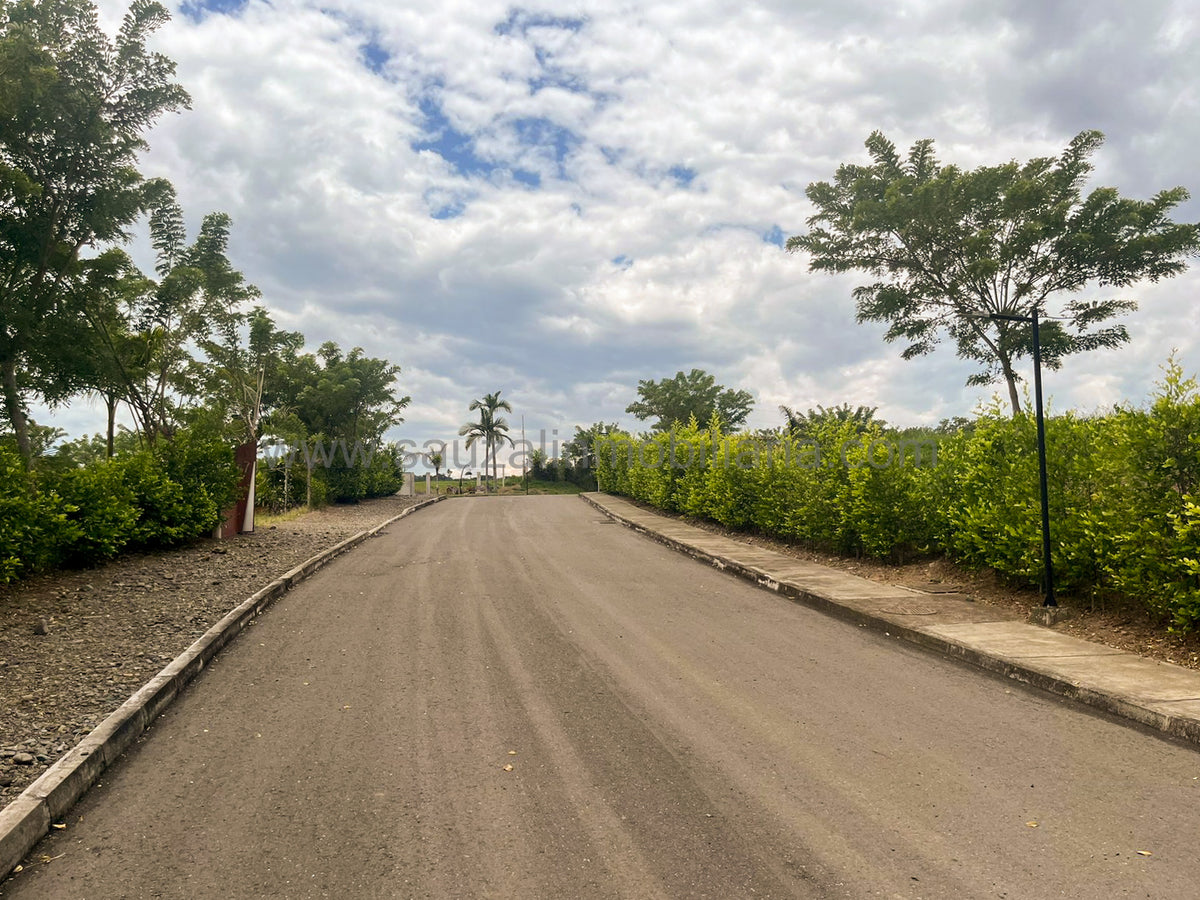 Lotes en la Trinidad Condominio Campestre