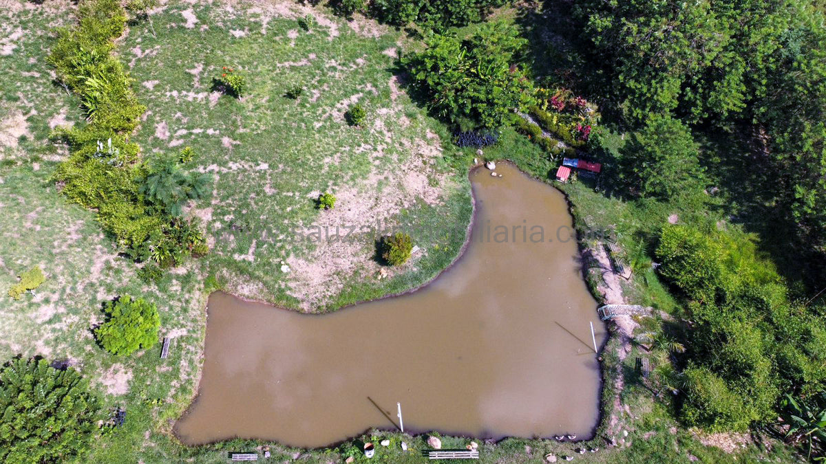 Lotes en la Trinidad Condominio Campestre