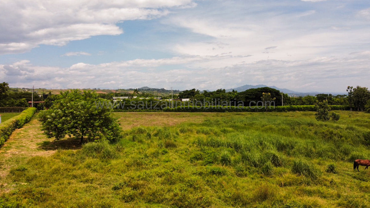 Lotes en la Trinidad Condominio Campestre