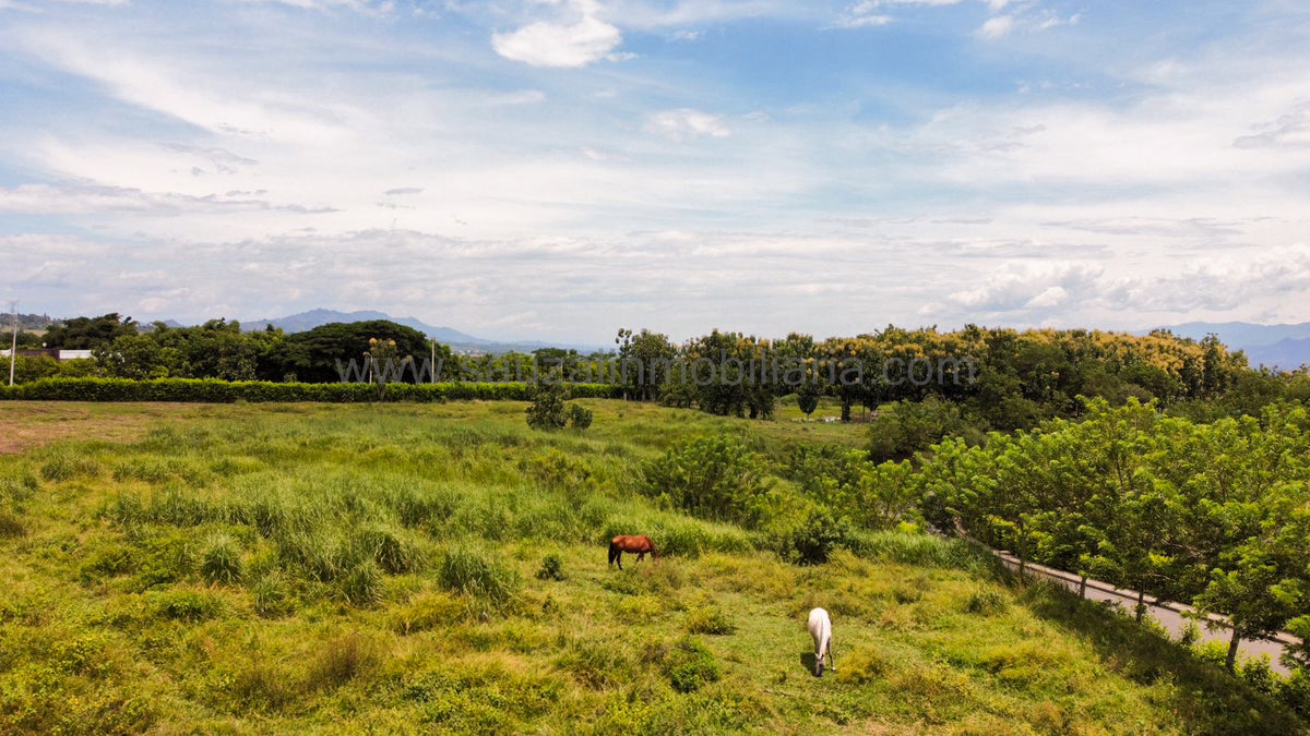 Lotes en la Trinidad Condominio Campestre