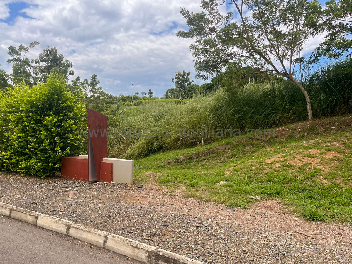 Lotes en la Trinidad Condominio Campestre