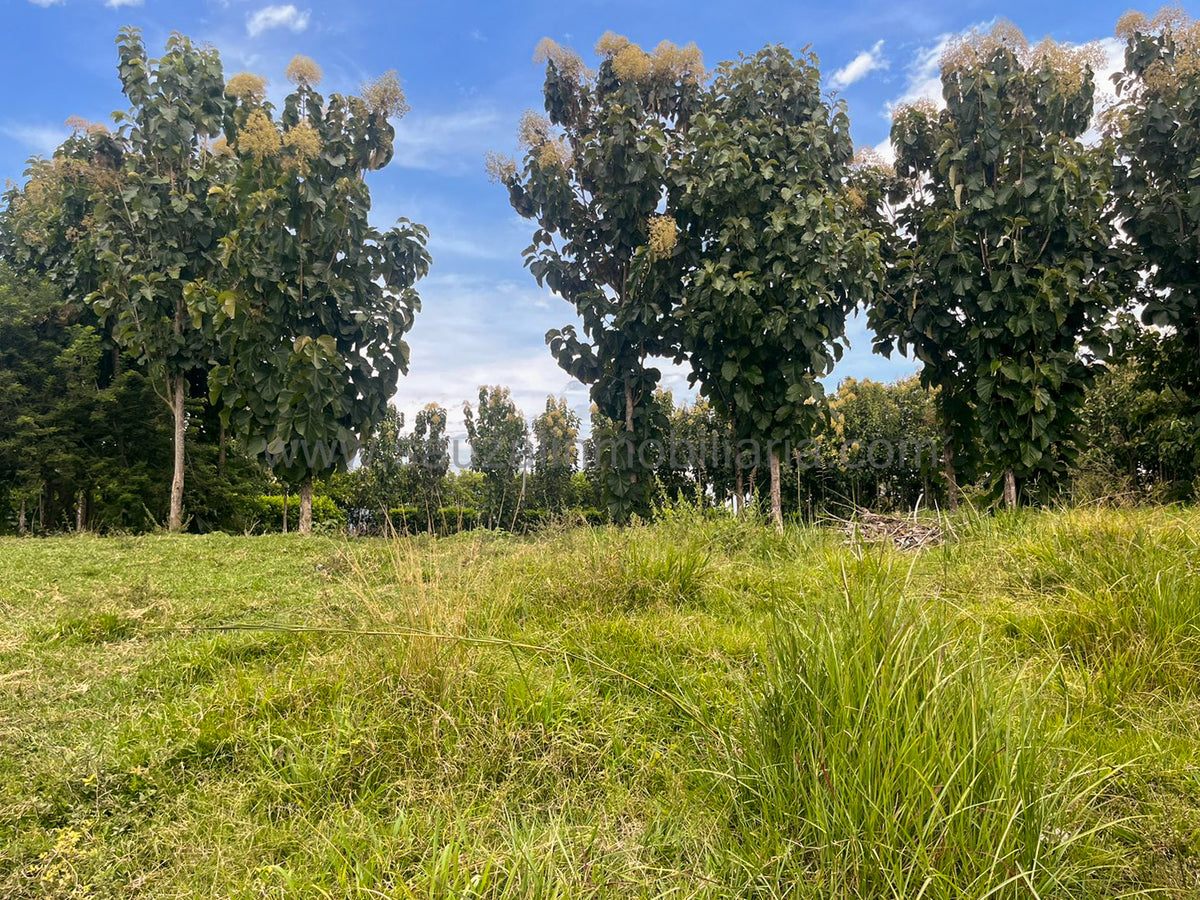 Lotes en la Trinidad Condominio Campestre