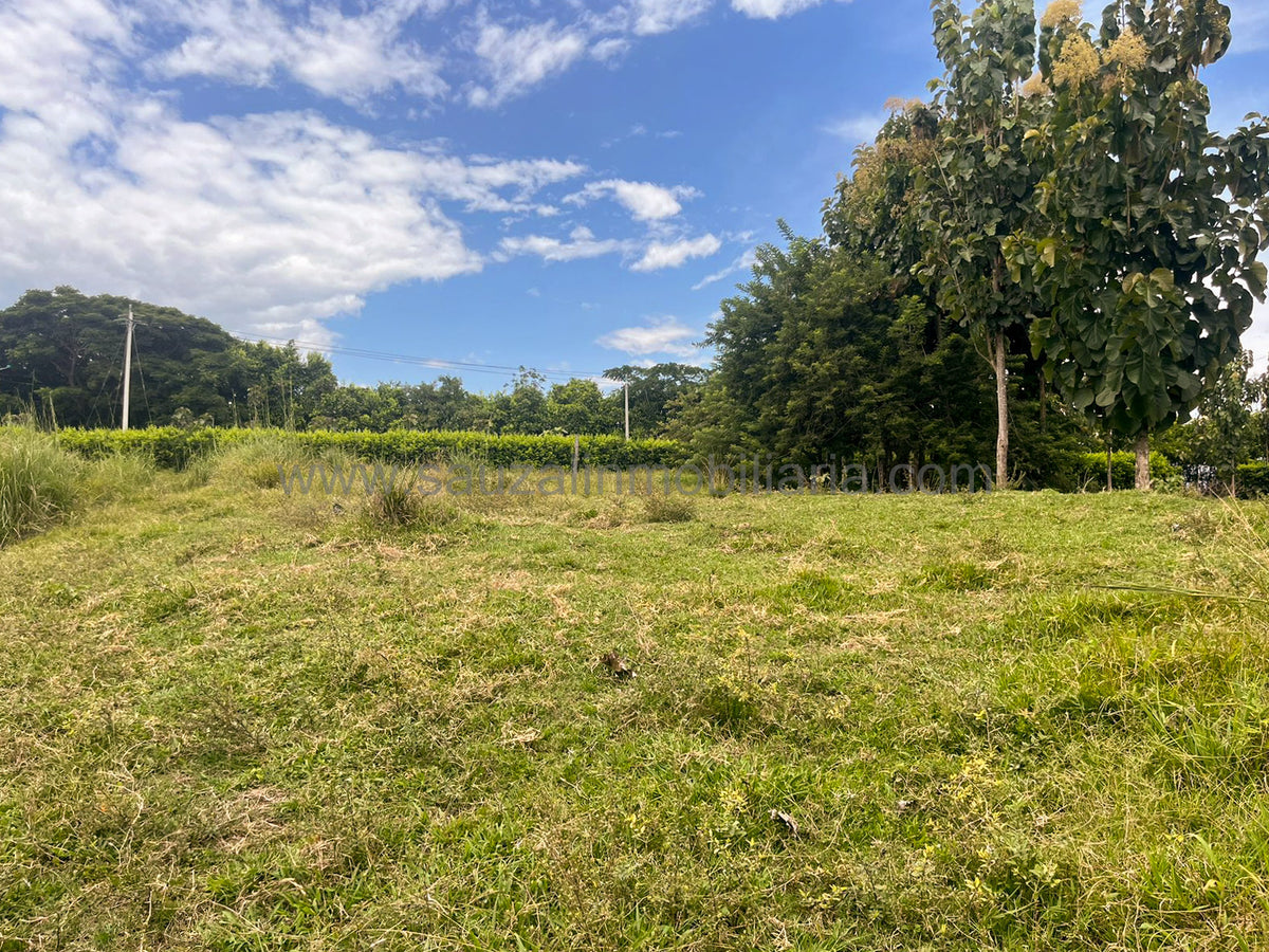 Lotes en la Trinidad Condominio Campestre