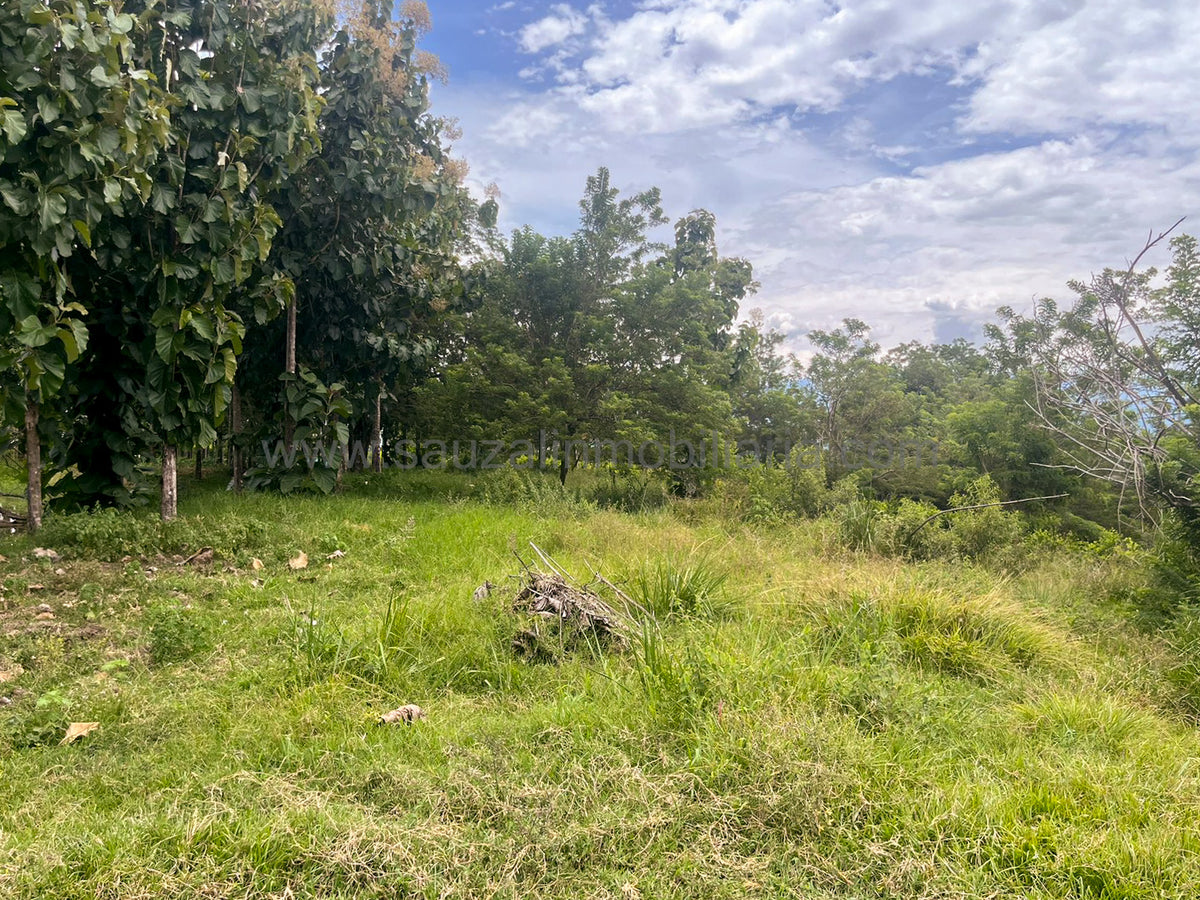 Lotes en la Trinidad Condominio Campestre