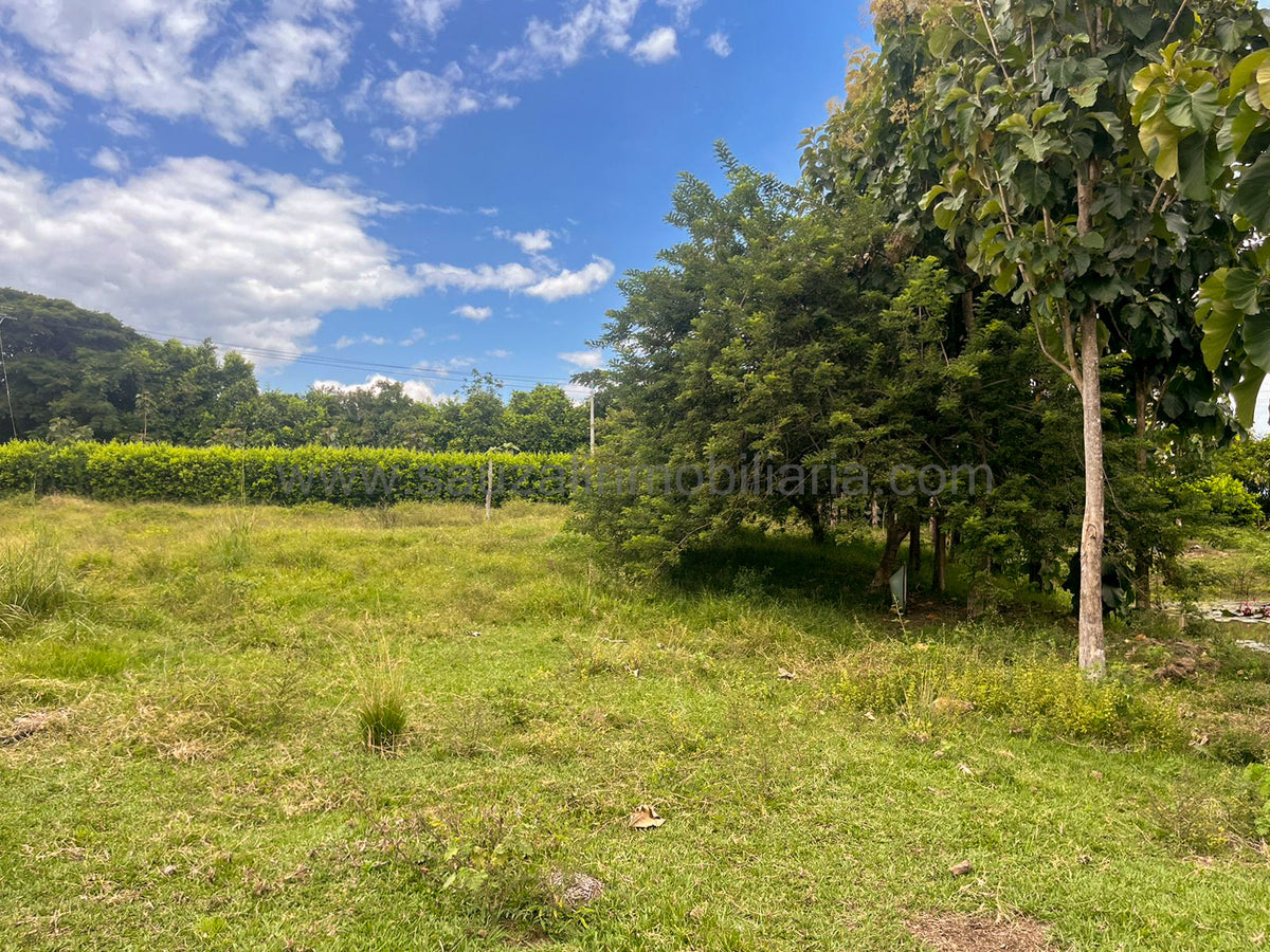 Lotes en la Trinidad Condominio Campestre