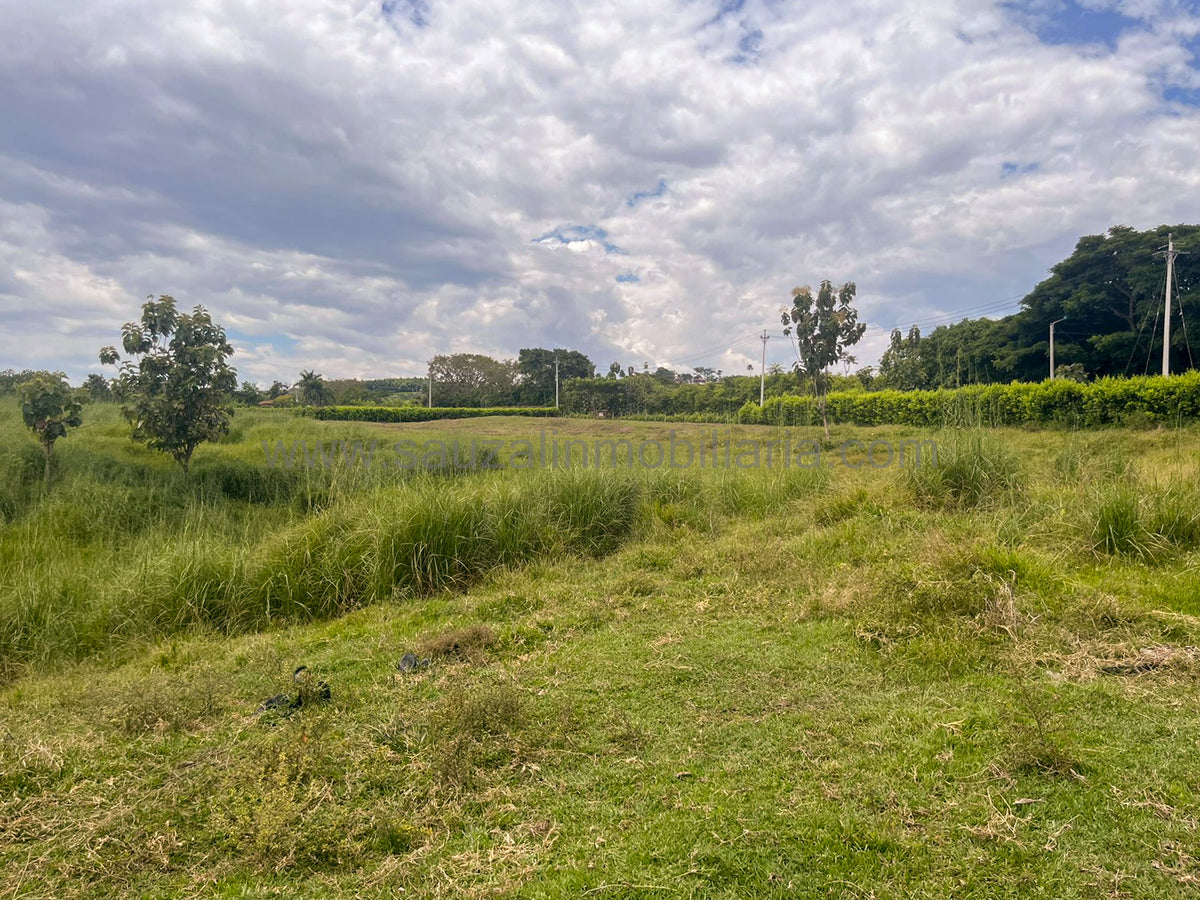 Lotes en la Trinidad Condominio Campestre