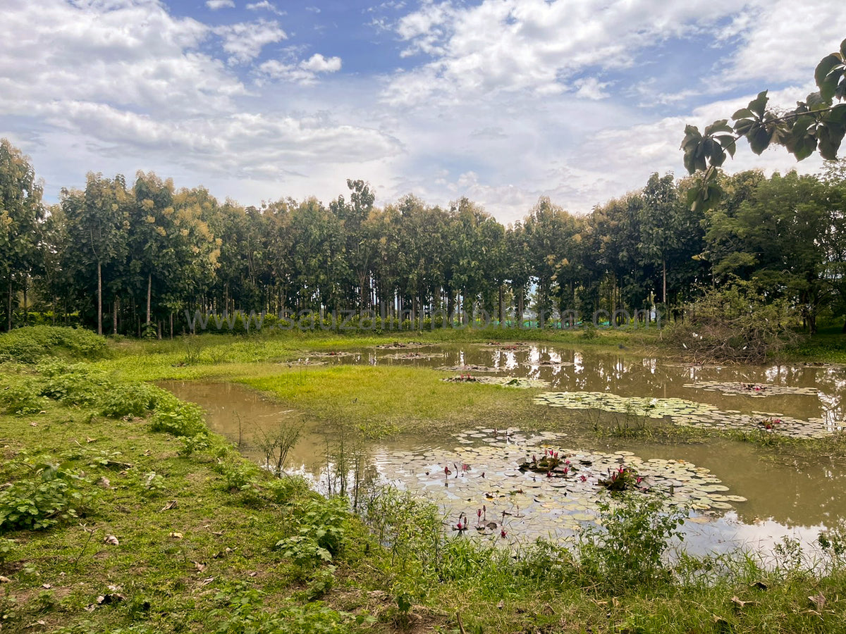 Lotes en la Trinidad Condominio Campestre