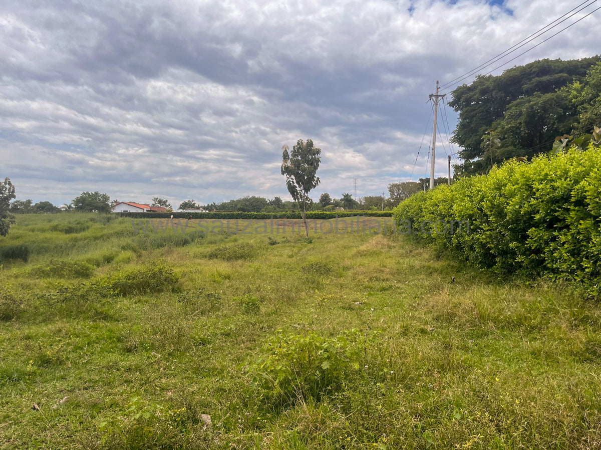 Lotes en la Trinidad Condominio Campestre