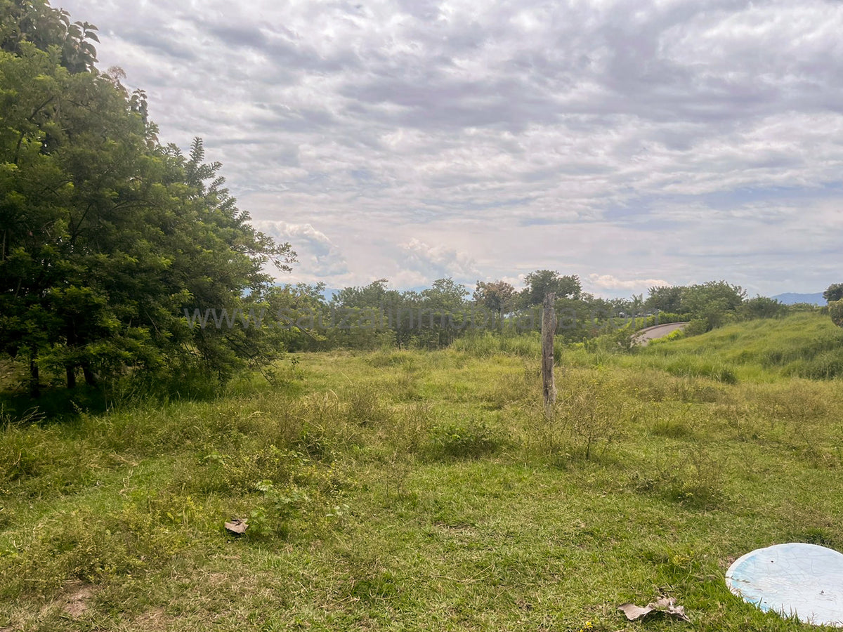 Lotes en la Trinidad Condominio Campestre