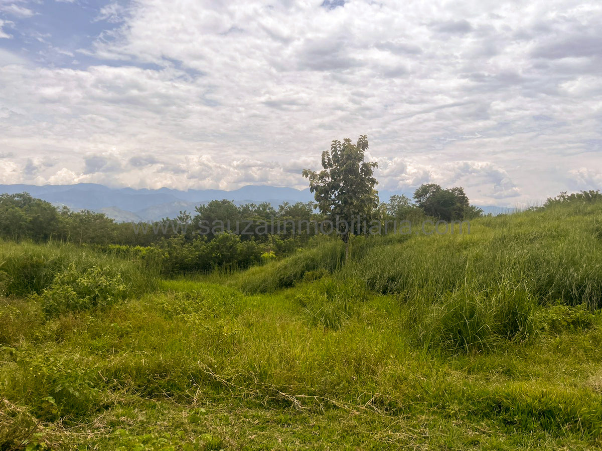 Lotes en la Trinidad Condominio Campestre