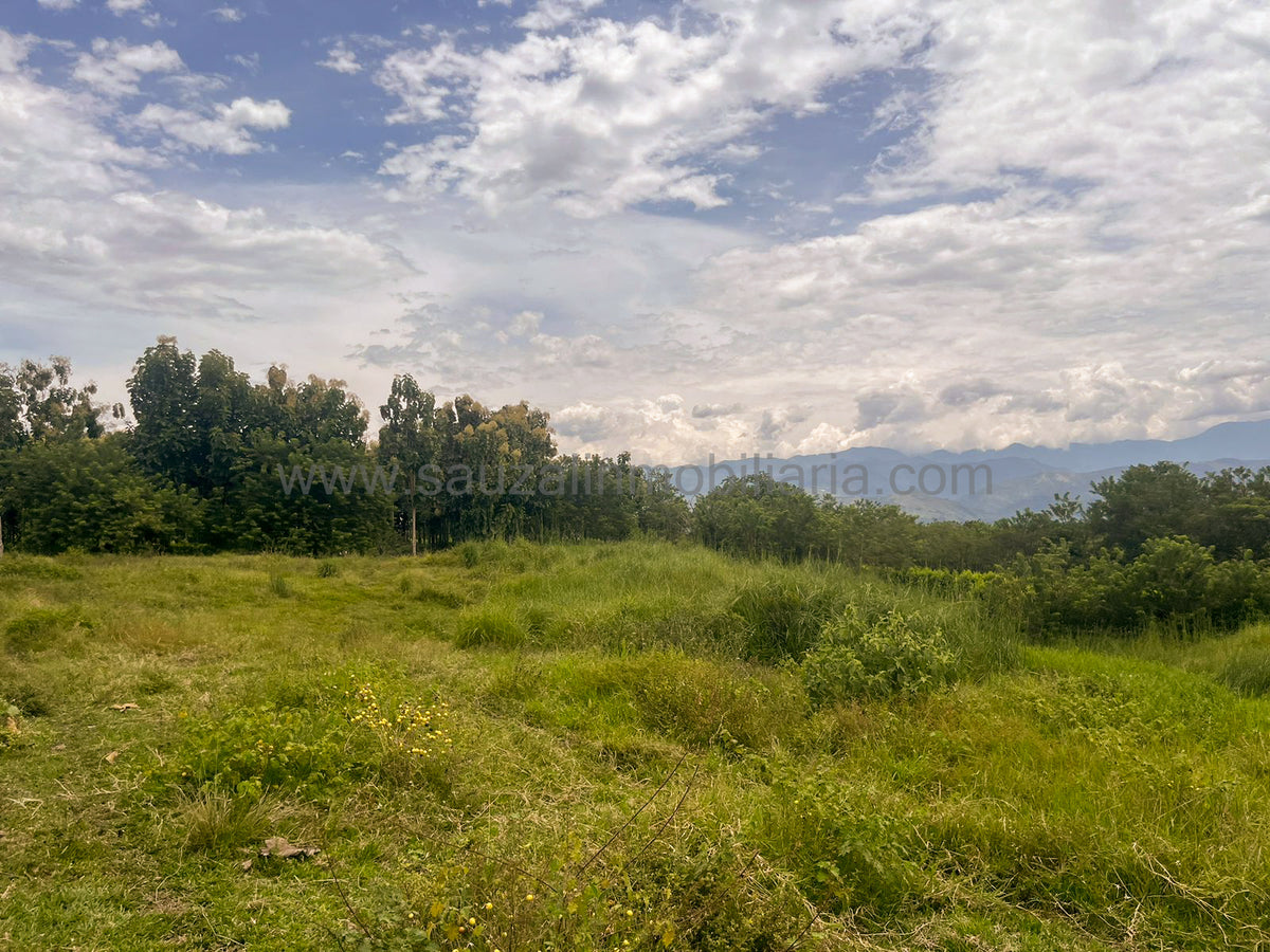 Lotes en la Trinidad Condominio Campestre