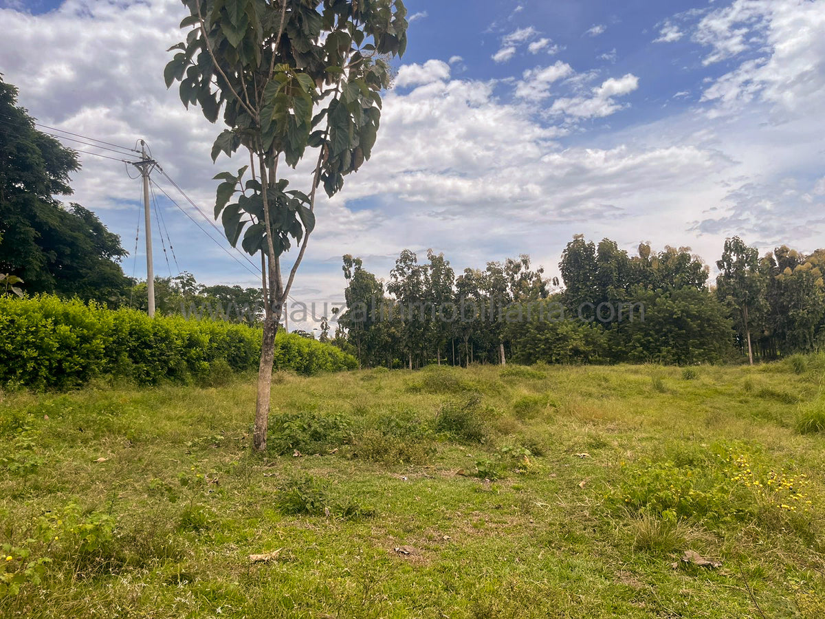 Lotes en la Trinidad Condominio Campestre