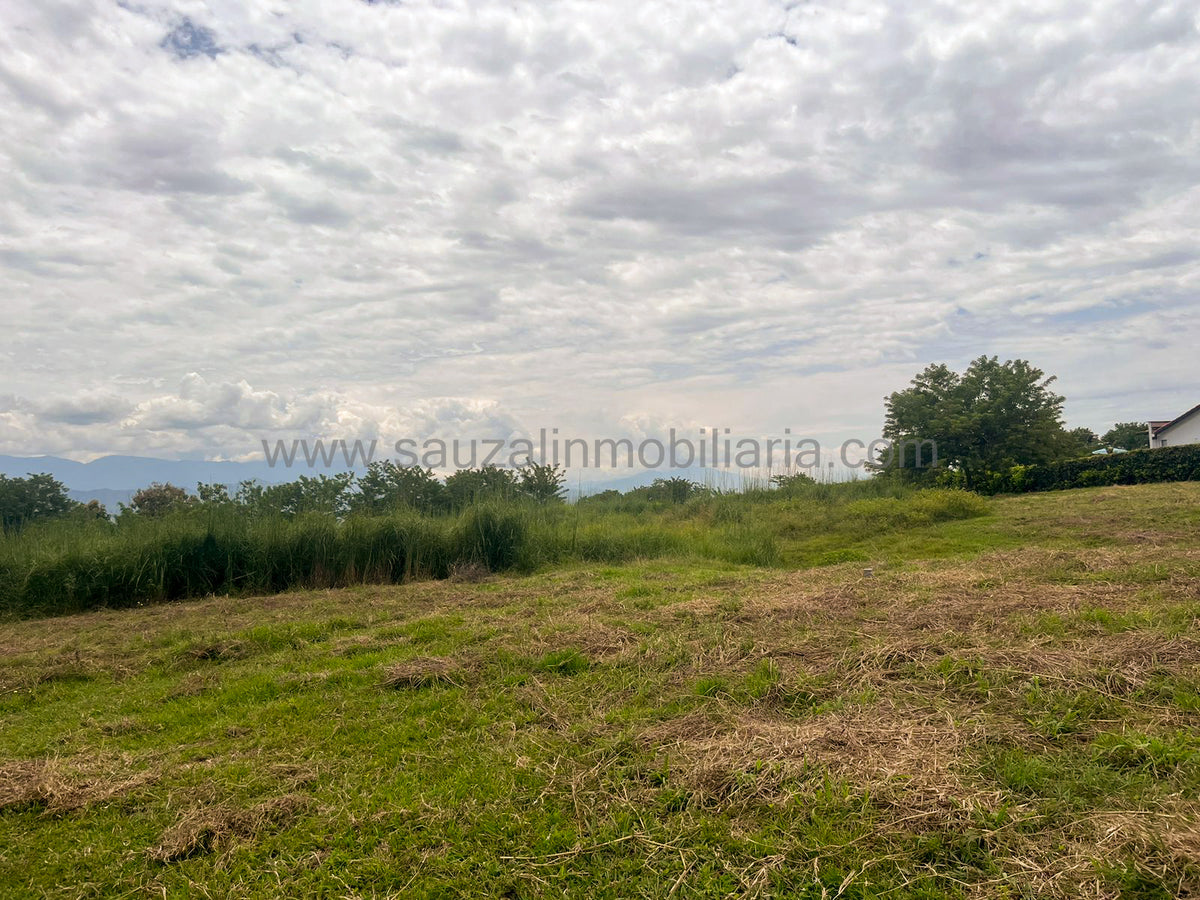 Lotes en la Trinidad Condominio Campestre