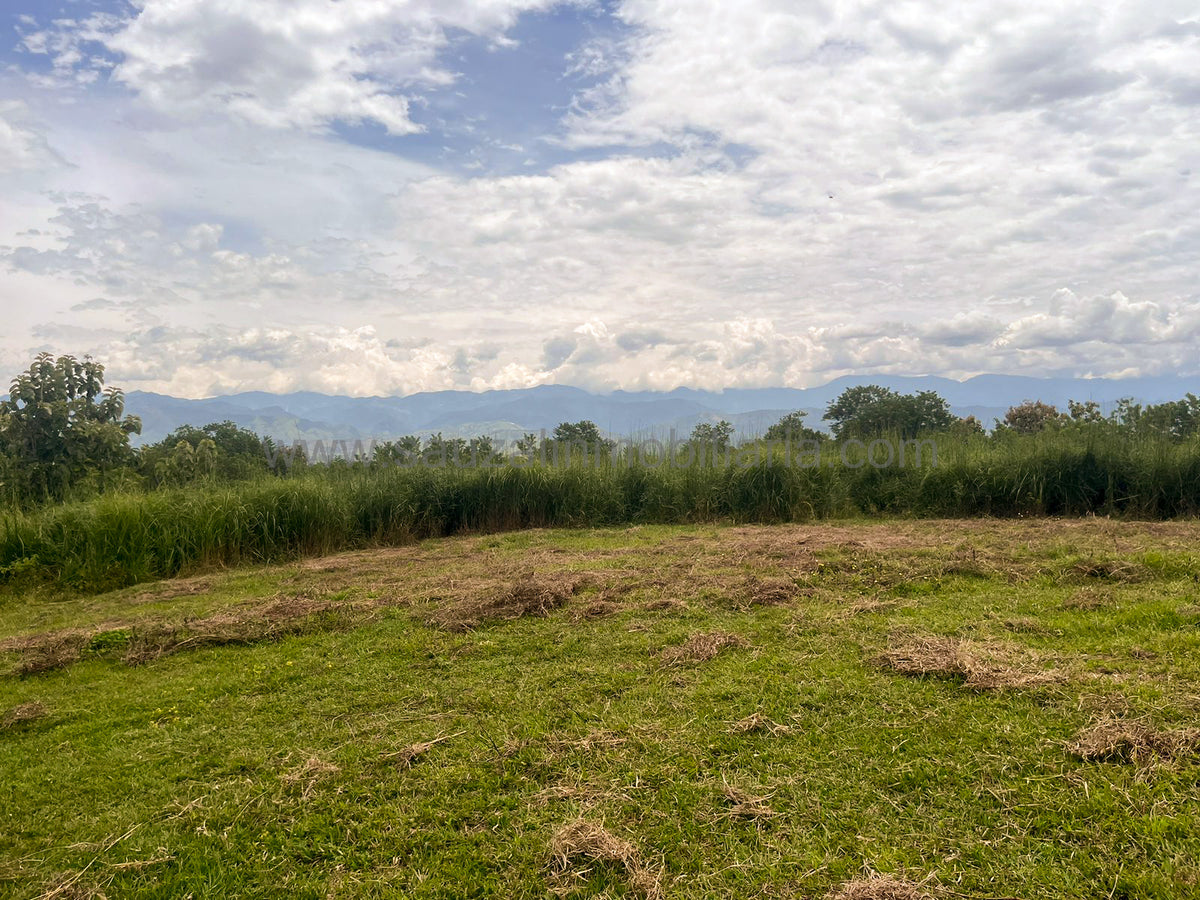 Lotes en la Trinidad Condominio Campestre