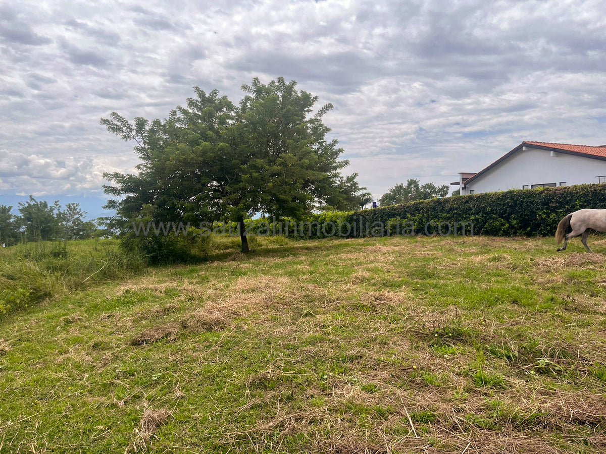 Lotes en la Trinidad Condominio Campestre