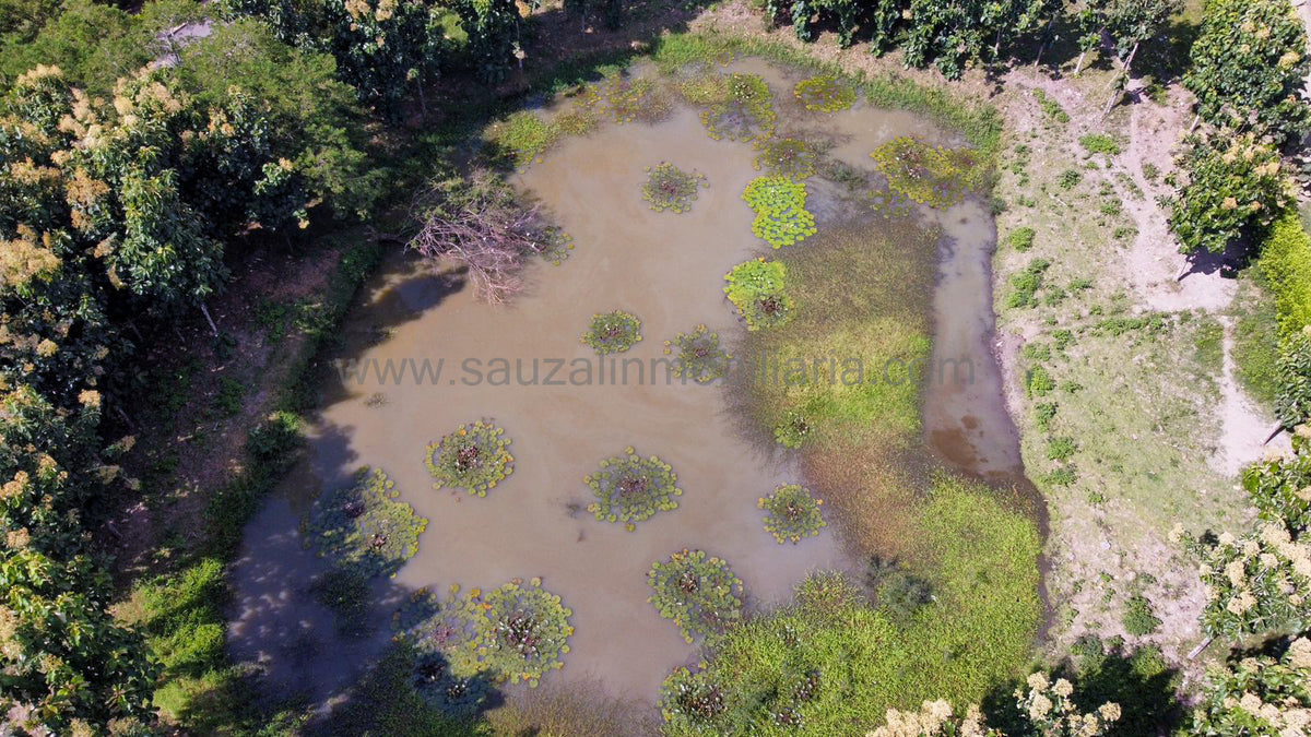 Lotes en la Trinidad Condominio Campestre