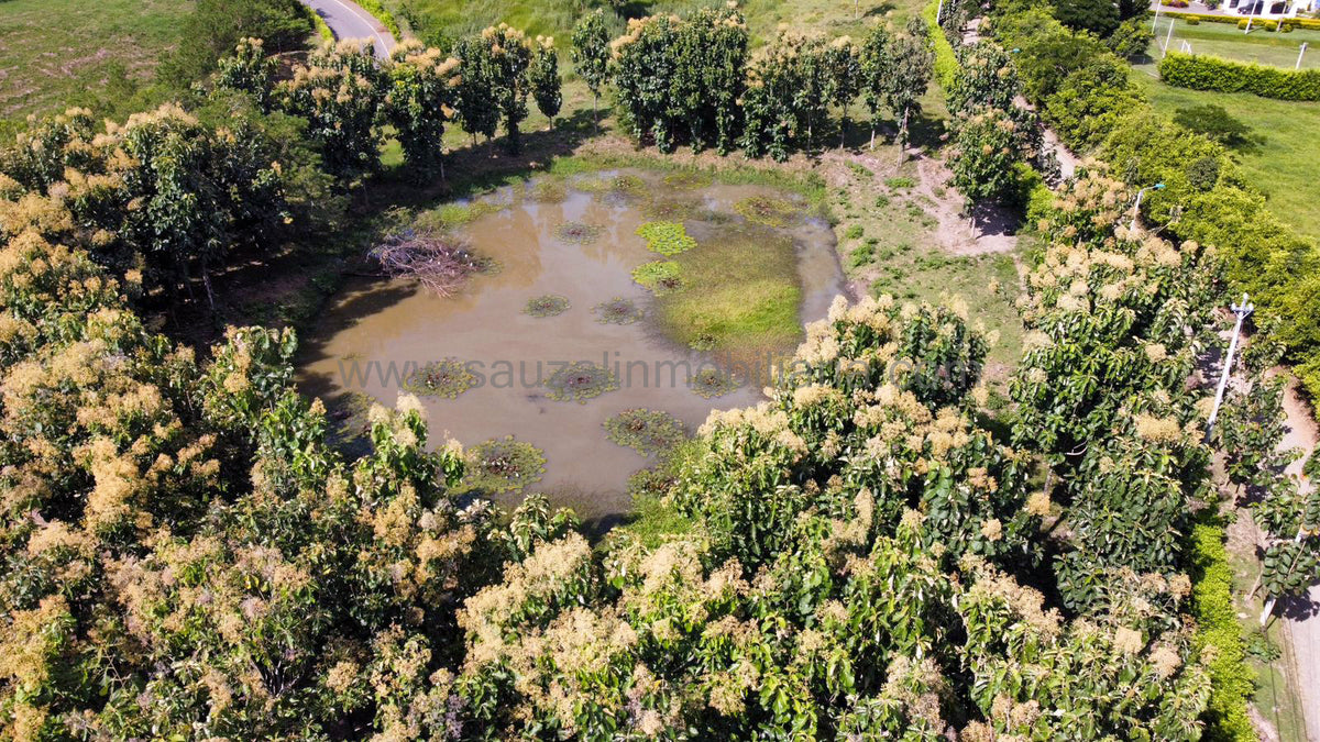 Lotes en la Trinidad Condominio Campestre