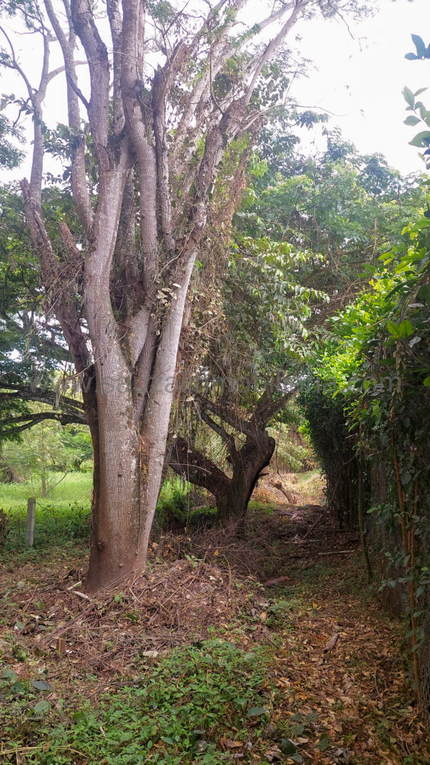 Lote en el Condominio Los Cerros