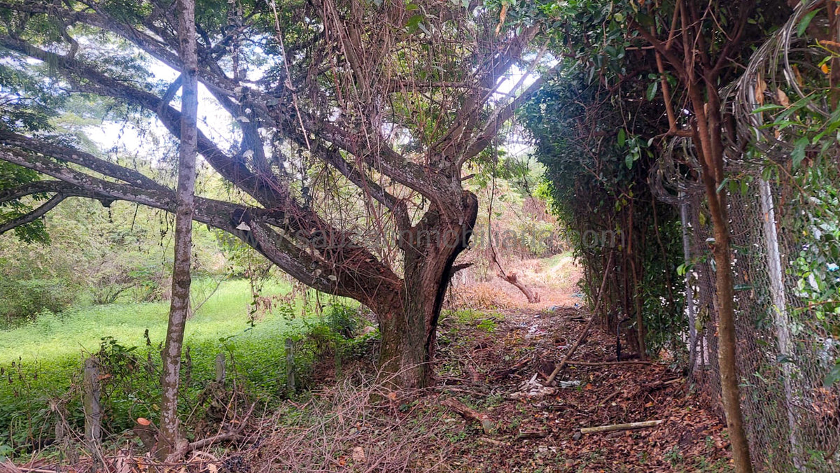 Lote en el Condominio Los Cerros