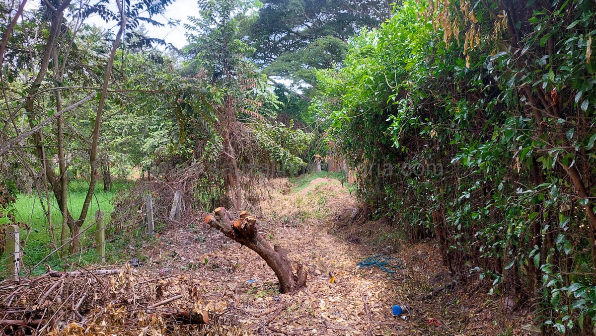 Lote en el Condominio Los Cerros