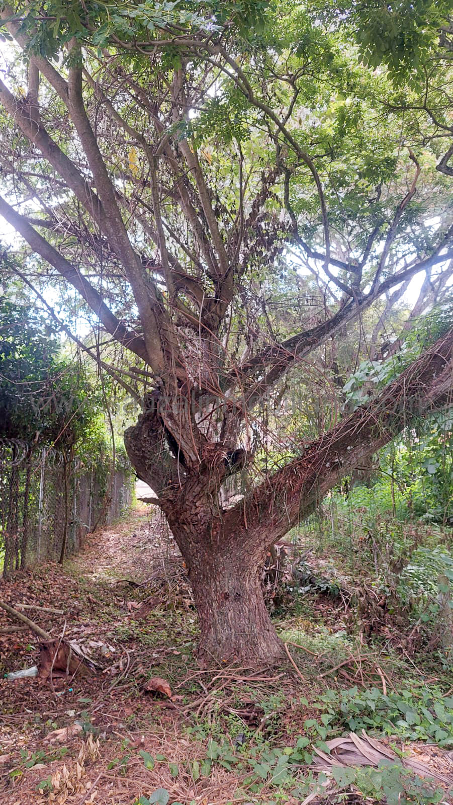 Lote en el Condominio Los Cerros