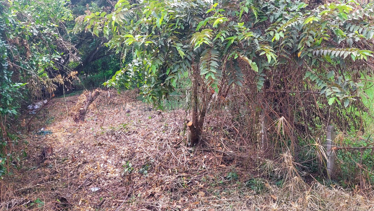 Lote en el Condominio Los Cerros