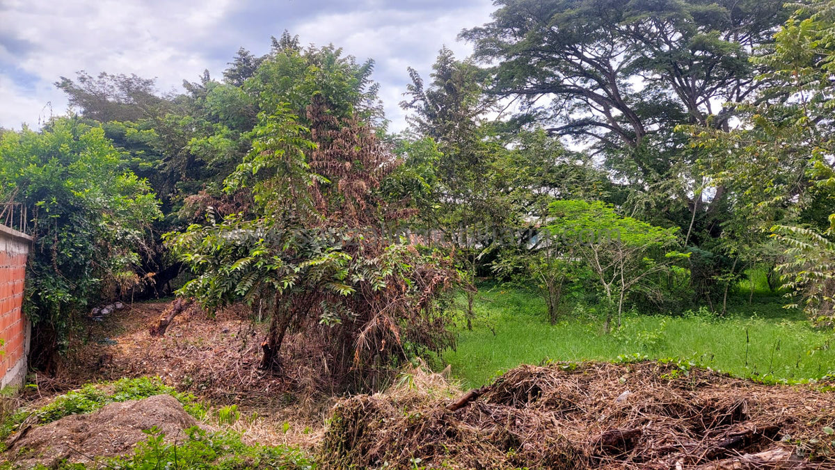 Lote en el Condominio Los Cerros