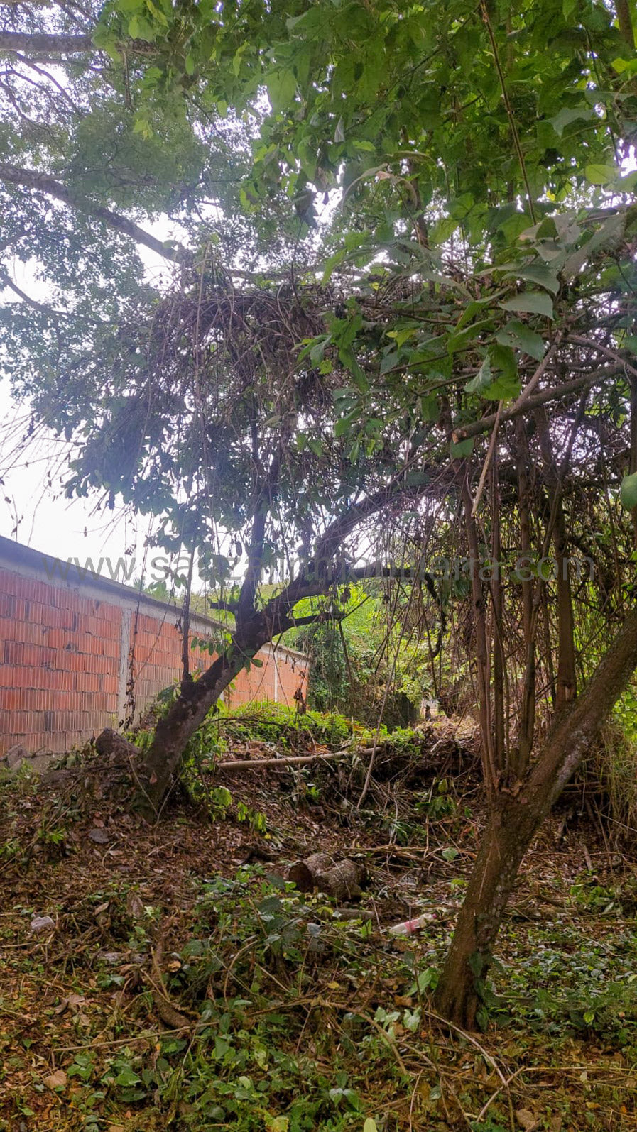Lote en el Condominio Los Cerros