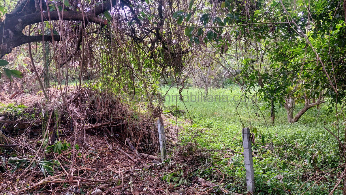 Lote en el Condominio Los Cerros
