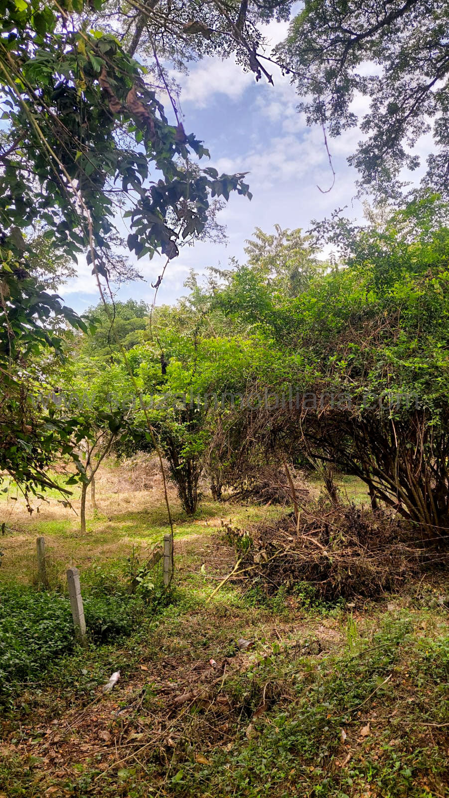Lote en el Condominio Los Cerros