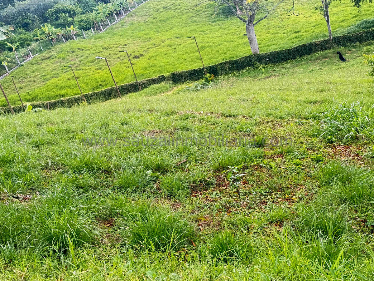 Lote en el Condominio Colinas del Campestre
