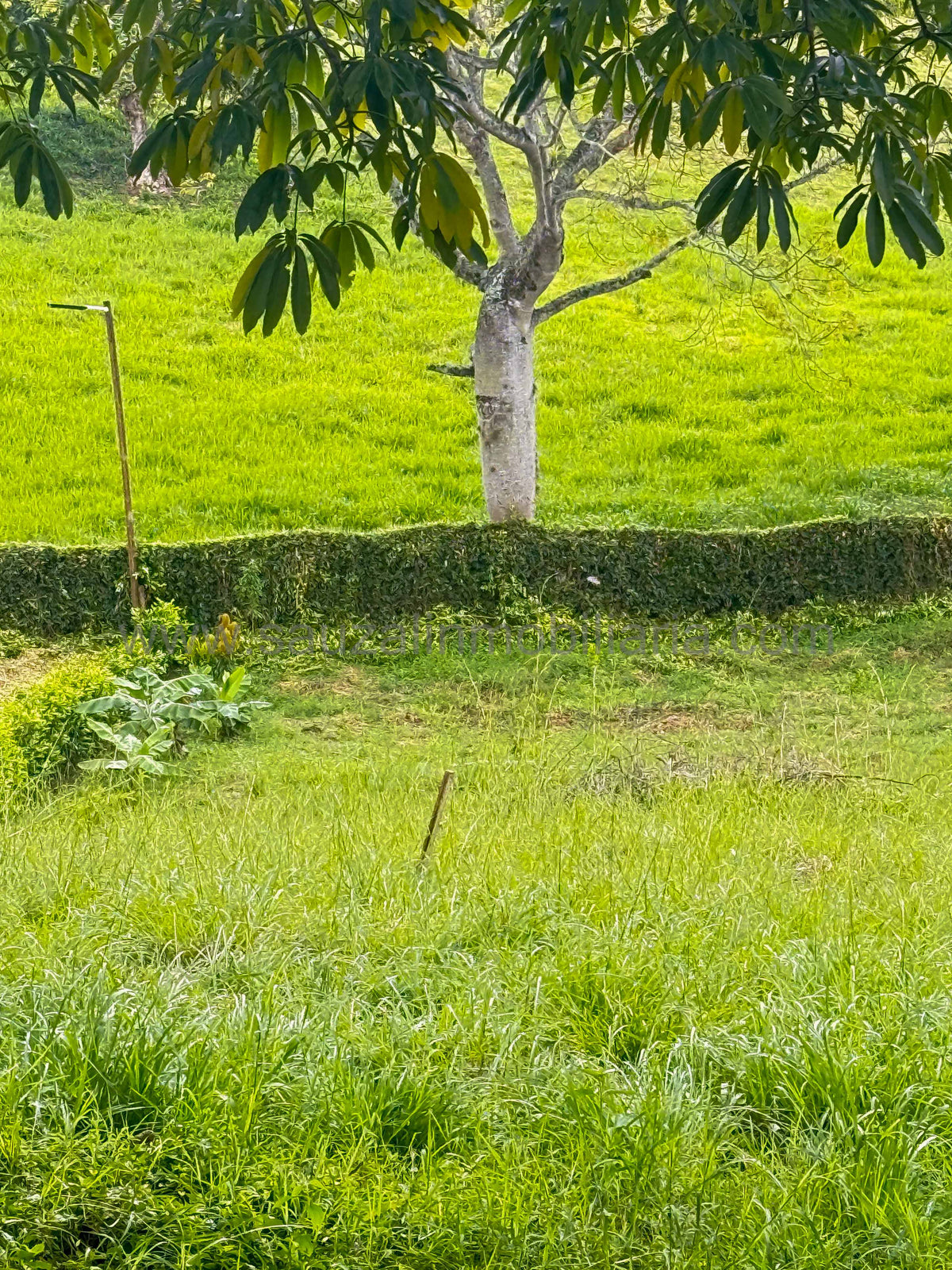 Lote en el Condominio Colinas del Campestre