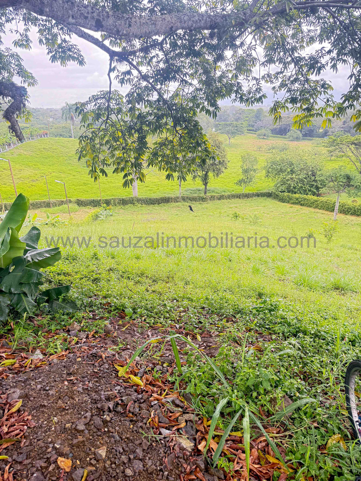 Lote en el Condominio Colinas del Campestre