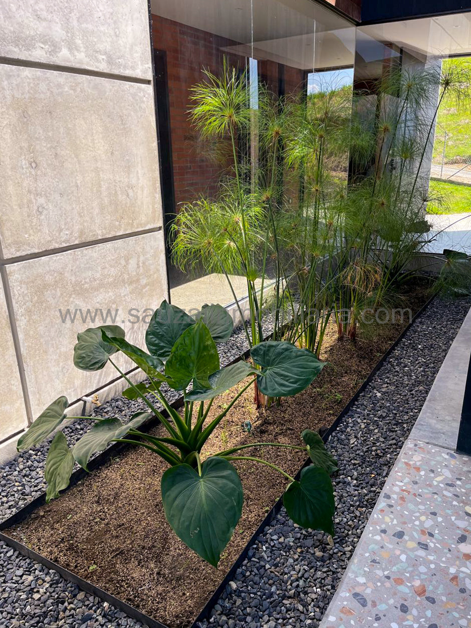 Casa Campestre en el Condominio El Cortijo, Cerritos