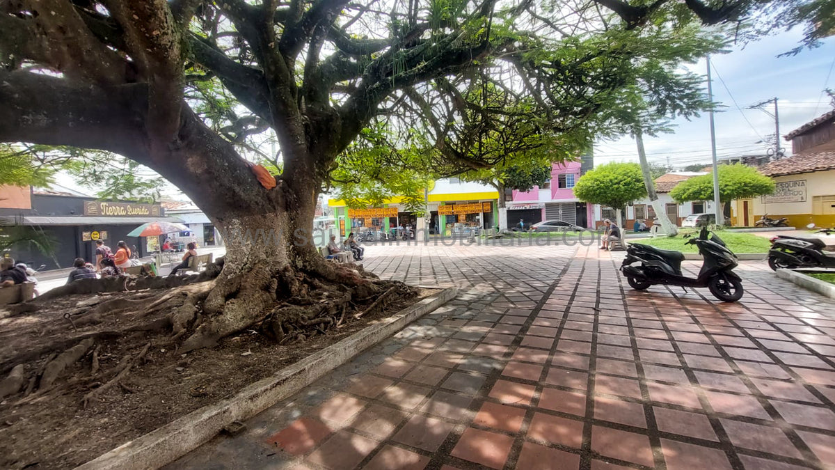 Local Comercial en el Barrio Collarejo