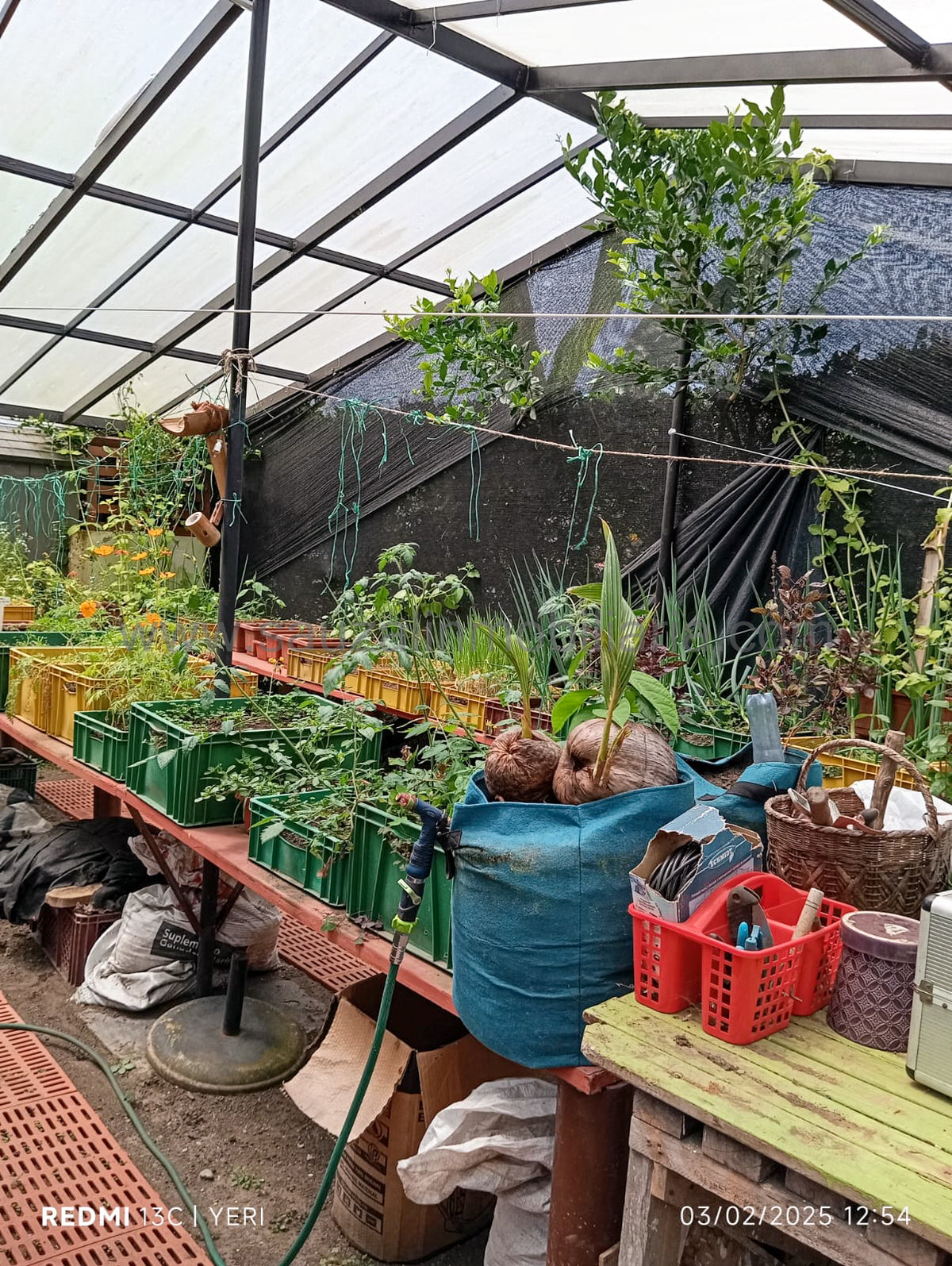 Casa Campestre en salento, Qindío